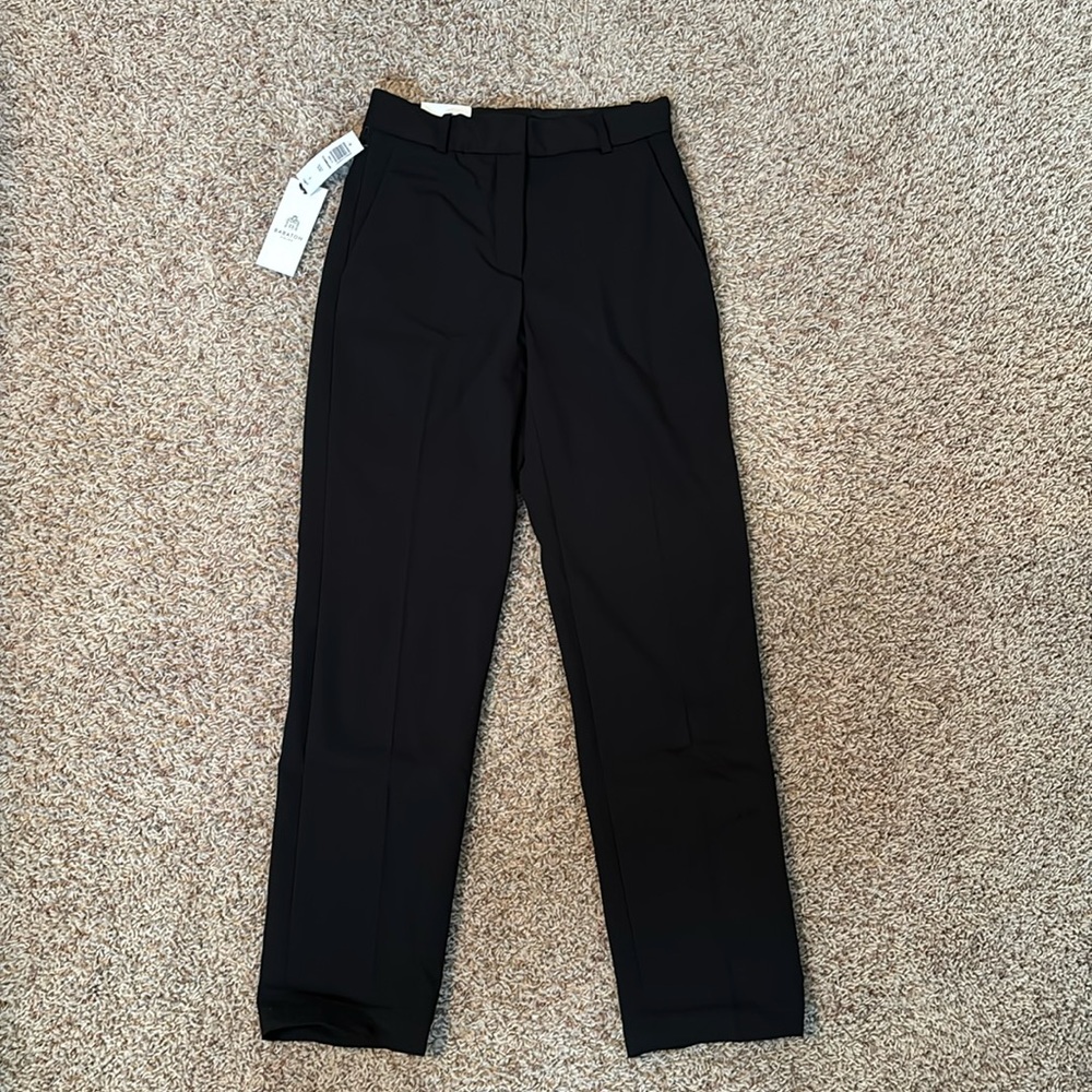 Aritzia Babaton Command Pant